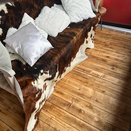 Kitzdesign In Kirchberg Apartman *